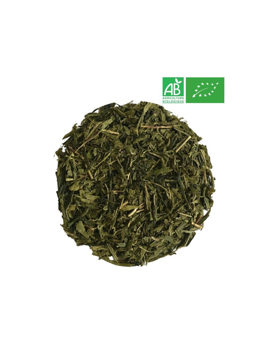 Coffret Thé & Infusion Débutant