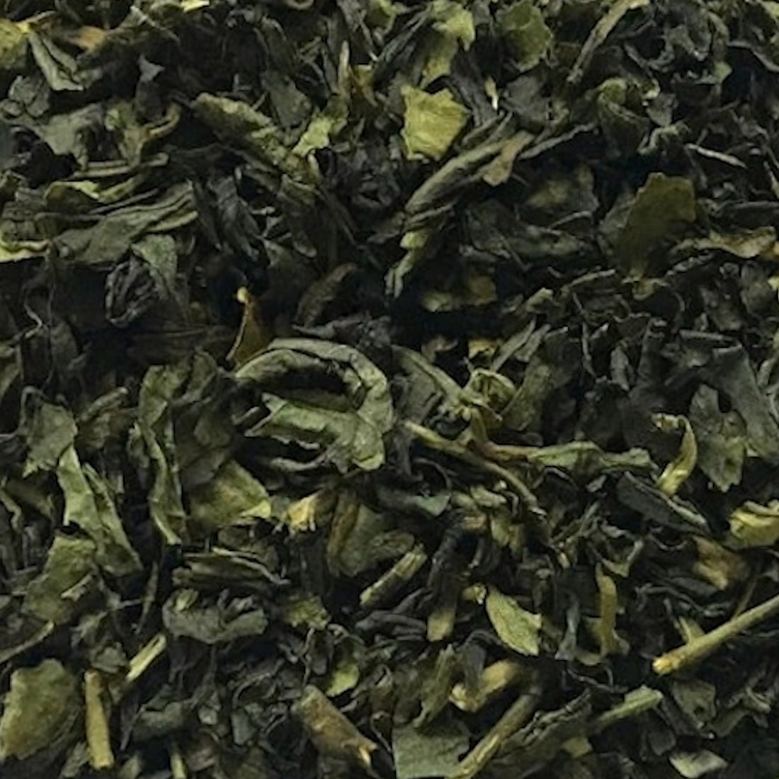 THÉ OOLONG