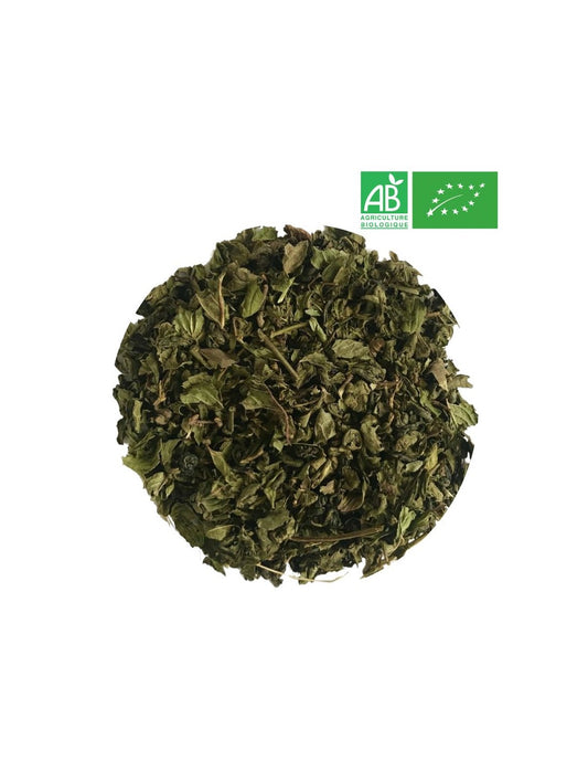 Thé Vert à la Menthe Premium🌿