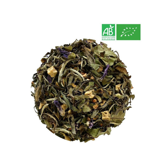 Thé Blanc Fraîcheur🌿